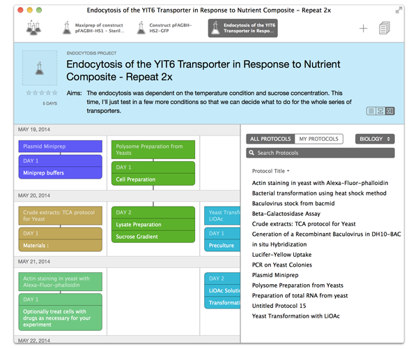 Experiment Calendar View